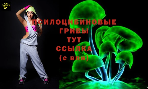 СК Арсеньев
